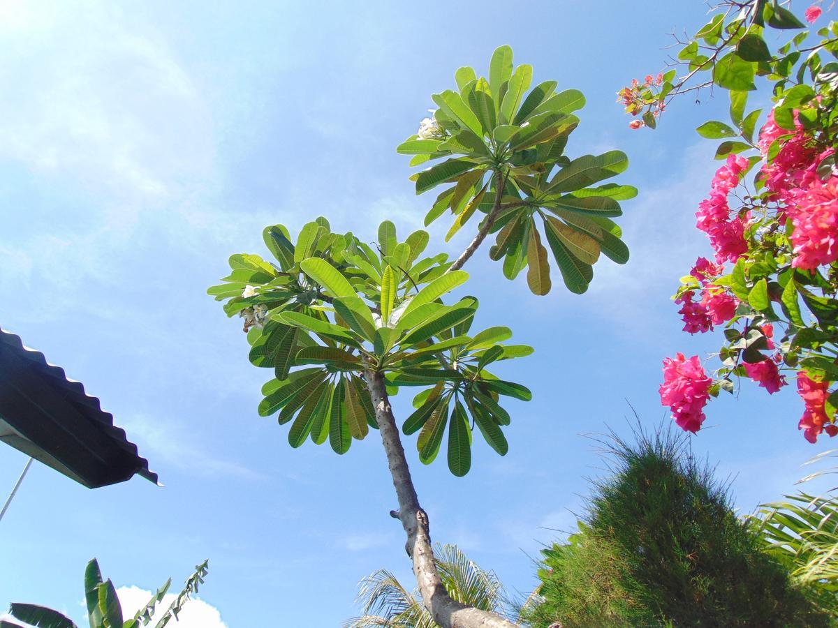 Sister Bungalow Hotel Gili Air Kültér fotó